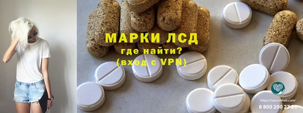 гидра Богородск