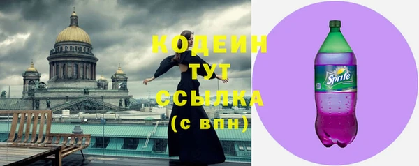 гидра Богородск
