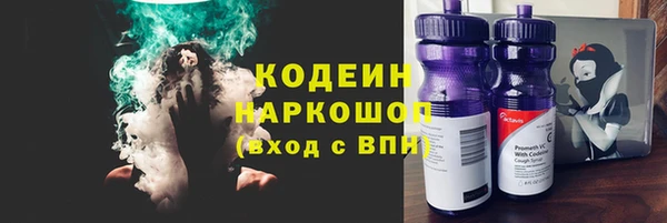 гидра Богородск