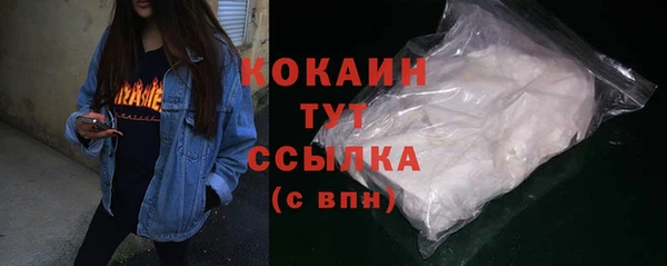 гидра Богородск