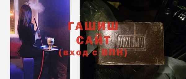 гидра Богородск