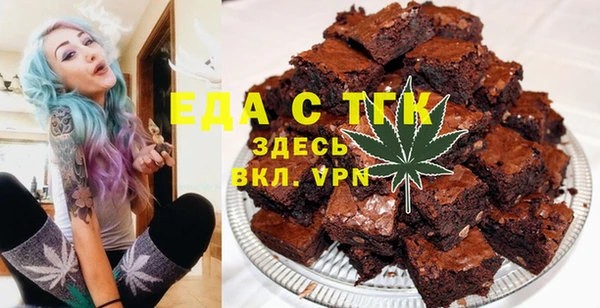 гидра Богородск
