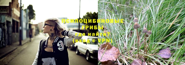 гидра Богородск