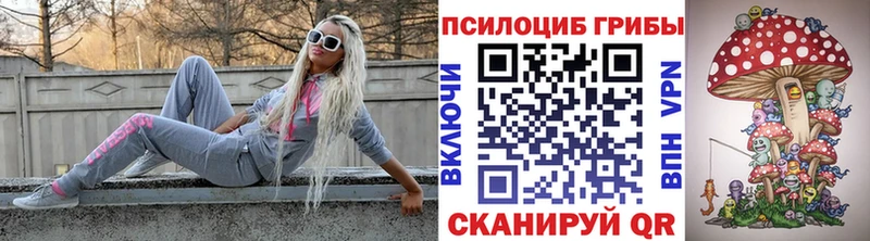 Галлюциногенные грибы Cubensis  Купить где  Собинка 
